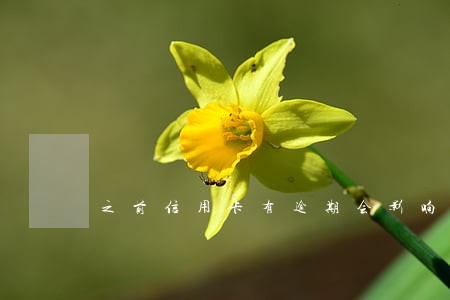 之前信用卡有逾期会影响车贷吗 之前信用卡有逾期会影响车贷吗