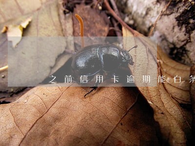 之前信用卡逾期能白条吗
