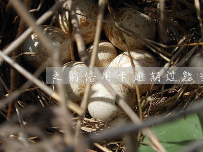 之前信用卡逾期过能当兵吗 之前信用卡逾期过能当兵吗
