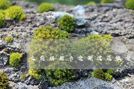 之前信用卡逾期过还能逾期吗
