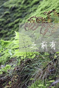 之前有信用卡逾期影响房贷吗 之前有信用卡逾期影响房贷吗