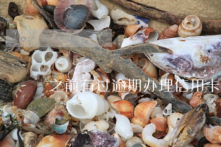 之前有过逾期办理信用卡