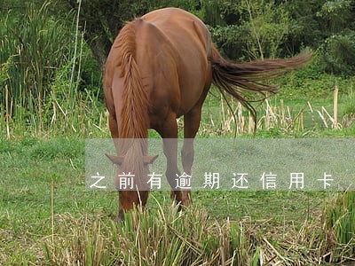 之前有逾期还信用卡 之前有逾期还信用卡
