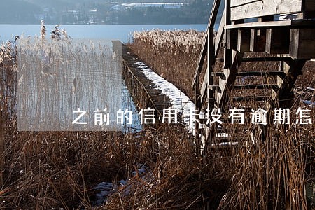 之前的信用卡没有逾期怎么办