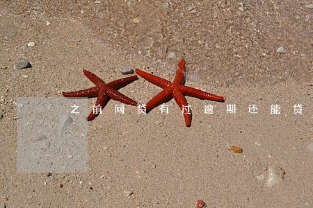 之前网贷有过逾期还能贷吗 之前网贷有过逾期还能贷吗