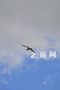 之前网贷逾期买车还能按揭么 之前网贷逾期买车还能按揭么
