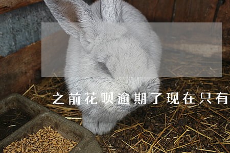 之前花呗逾期了现在只有70额度 之前花呗逾期了现在只有70额度