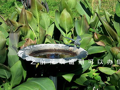 之前花呗逾期可以办信用卡吗 之前花呗逾期可以办信用卡吗