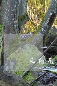 之前花呗逾期过还能办信用卡吗 之前花呗逾期过还能办信用卡吗