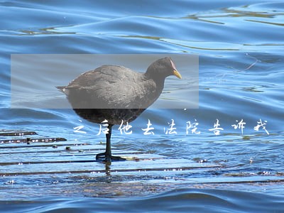 之后他去法院告诉我 之后他去法院告诉我