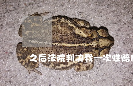 之后法院判决我一次性赔偿他们钱 之后法院判决我一次性赔偿他们钱