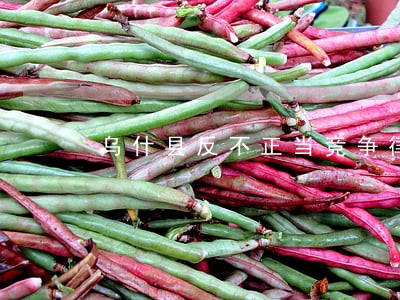乌什县反不正当竞争律师咨询电话 乌什县反不正当竞争律师咨询电话