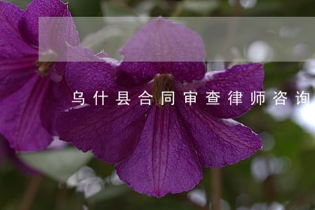 乌什县合同审查律师咨询电话 乌什县合同审查律师咨询电话