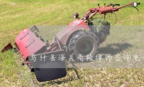 乌什县海关商检律师咨询电话 乌什县海关商检律师咨询电话