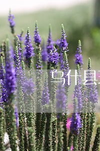 乌什县环境污染法律咨询热线 乌什县环境污染法律咨询热线