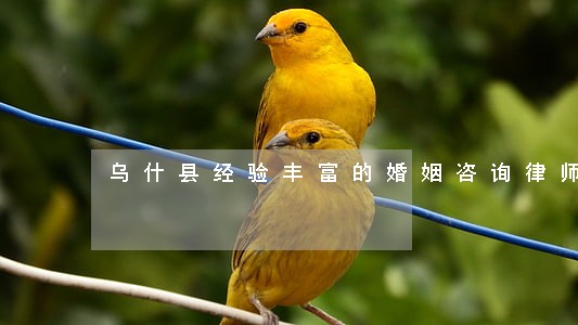乌什县经验丰富的婚姻咨询律师 乌什县经验丰富的婚姻咨询律师