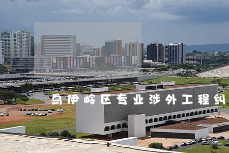 乌伊岭区专业涉外工程纠纷律师 乌伊岭区专业涉外工程纠纷律师