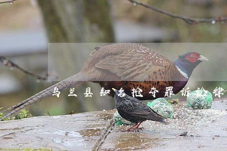 乌兰县知名抢夺罪诉讼律师 乌兰县知名抢夺罪诉讼律师