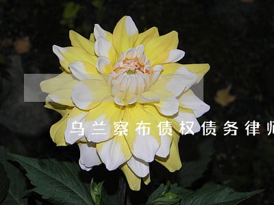 乌兰察布债权债务律师费用 乌兰察布债权债务律师费用