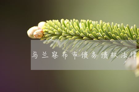 乌兰察布市债务债权法律咨询律师 乌兰察布市债务债权法律咨询律师