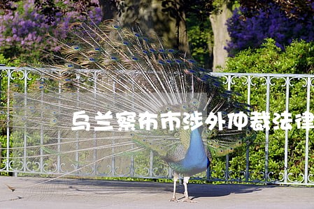 乌兰察布市涉外仲裁法律咨询热线 乌兰察布市涉外仲裁法律咨询热线