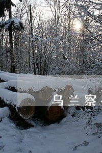 乌兰察布市经济案件律师排名 乌兰察布市经济案件律师排名