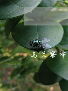 乌兰察布房地产律师收费 乌兰察布房地产律师收费