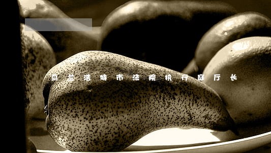 乌兰浩特市法院执行庭厅长