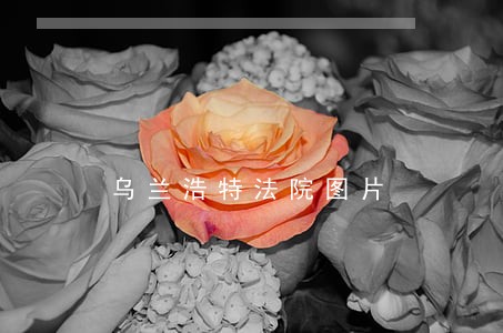 乌兰浩特法院图片 乌兰浩特法院图片