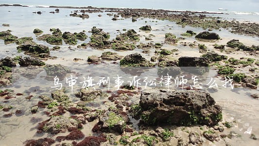 乌审旗刑事诉讼律师怎么找 乌审旗刑事诉讼律师怎么找