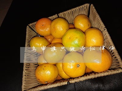 乌审旗只做诉讼律师 乌审旗只做诉讼律师