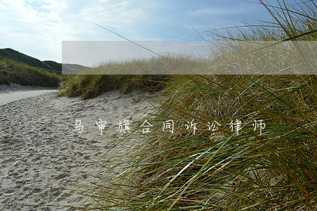 乌审旗合同诉讼律师 乌审旗合同诉讼律师