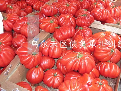 乌尔禾区债务承担纠纷处理律师 乌尔禾区债务承担纠纷处理律师