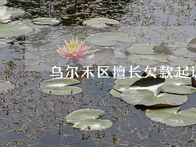 乌尔禾区擅长欠款起诉律师 乌尔禾区擅长欠款起诉律师