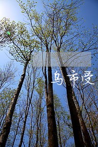 乌市受贿罪律师法律咨询 乌市受贿罪律师法律咨询