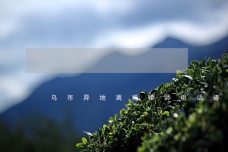 乌市异地离婚律师电话咨询 乌市异地离婚律师电话咨询