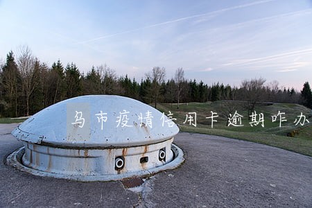 乌市疫情信用卡逾期咋办 乌市疫情信用卡逾期咋办