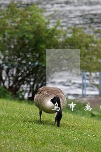 乌市离婚协议律师收费 乌市离婚协议律师收费