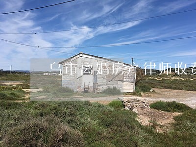 乌市离婚房产律师收费