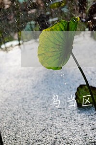 乌当区新添寨附近律师事务所