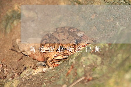 乌恰企业拆迁律师 乌恰企业拆迁律师