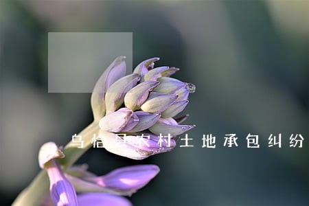 乌恰县农村土地承包纠纷律师 乌恰县农村土地承包纠纷律师