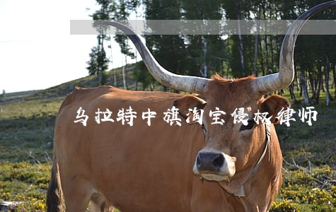 乌拉特中旗淘宝侵权律师 乌拉特中旗淘宝侵权律师
