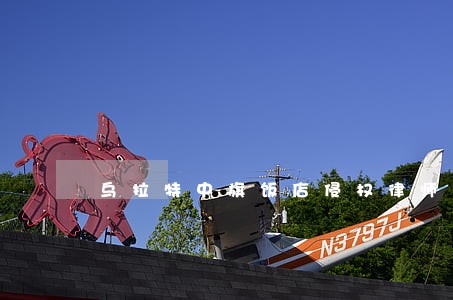 乌拉特中旗饭店侵权律师 乌拉特中旗饭店侵权律师