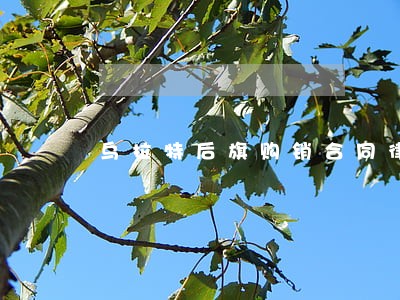 乌拉特后旗购销合同律师