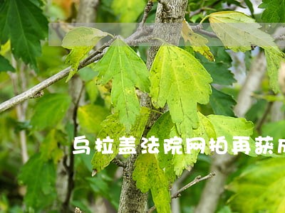 乌拉盖法院网拍再获成功 乌拉盖法院网拍再获成功