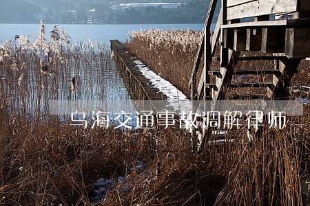 乌海交通事故调解律师
