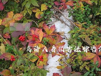 乌海人身损害法律咨询热线