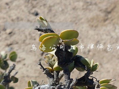 乌海公司上市律师咨询电话 乌海公司上市律师咨询电话