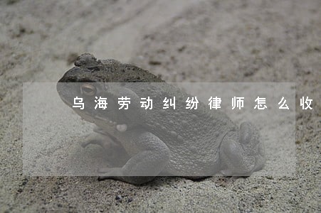 乌海劳动纠纷律师怎么收费 乌海劳动纠纷律师怎么收费